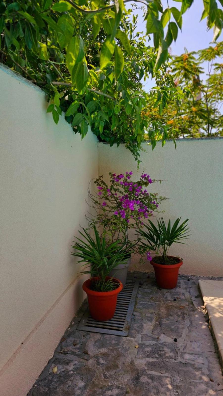 Lovely House With Swimming Pool Mostar Exteriör bild