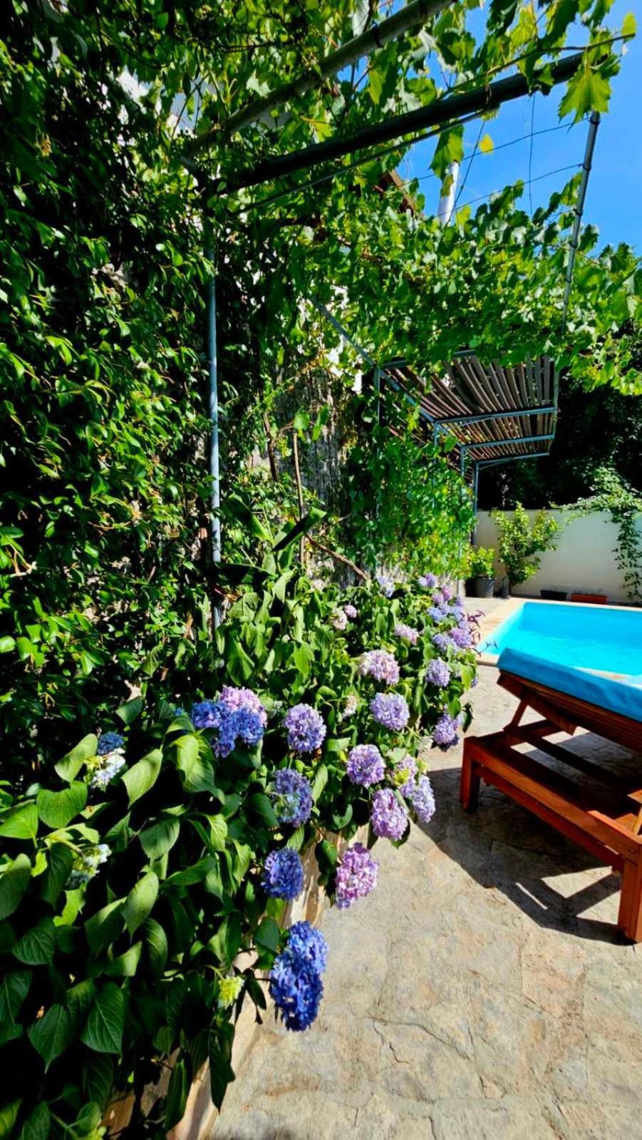 Lovely House With Swimming Pool Mostar Exteriör bild